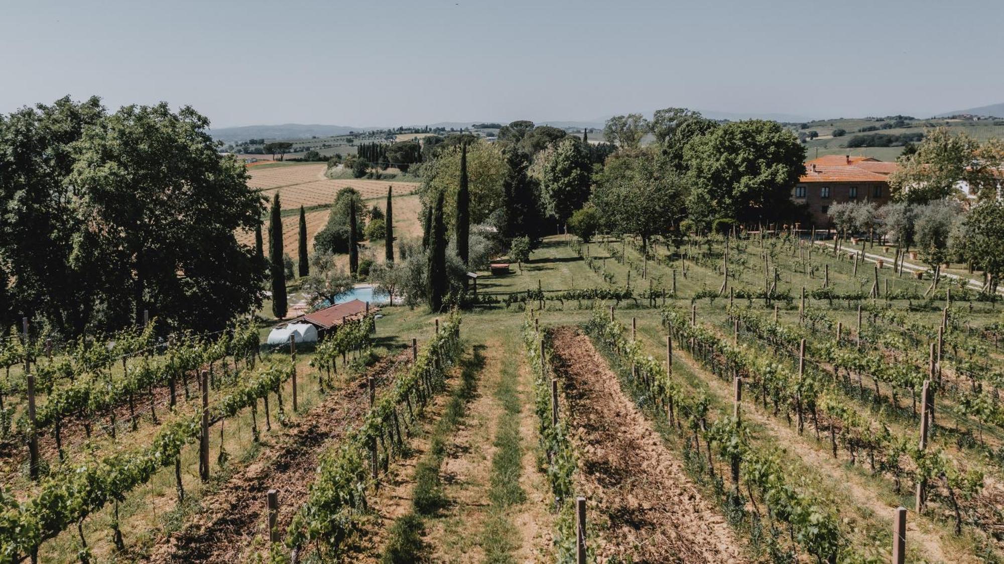 Podere Biagio Valiano Exterior photo